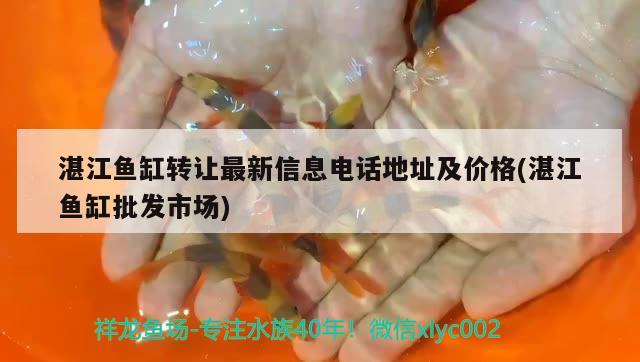 湛江魚缸轉(zhuǎn)讓最新信息電話地址及價格(湛江魚缸批發(fā)市場)