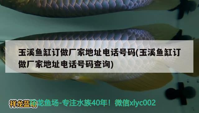 玉溪魚缸訂做廠家地址電話號碼(玉溪魚缸訂做廠家地址電話號碼查詢)