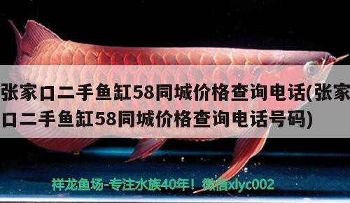 張家口二手魚缸58同城價格查詢電話(張家口二手魚缸58同城價格查詢電話號碼)