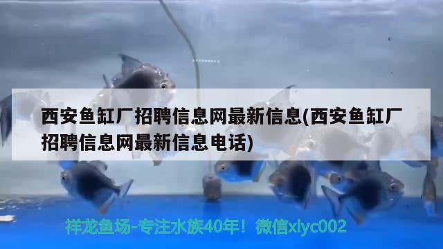 西安魚缸廠招聘信息網(wǎng)最新信息(西安魚缸廠招聘信息網(wǎng)最新信息電話)