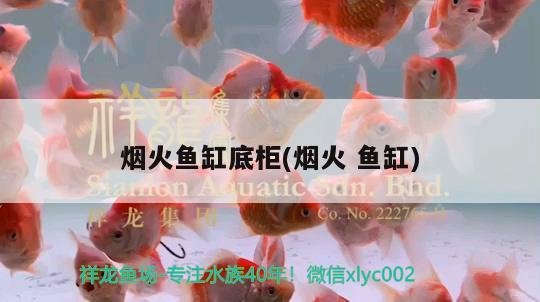 煙火魚缸底柜(煙火魚缸) 觀賞魚企業(yè)目錄