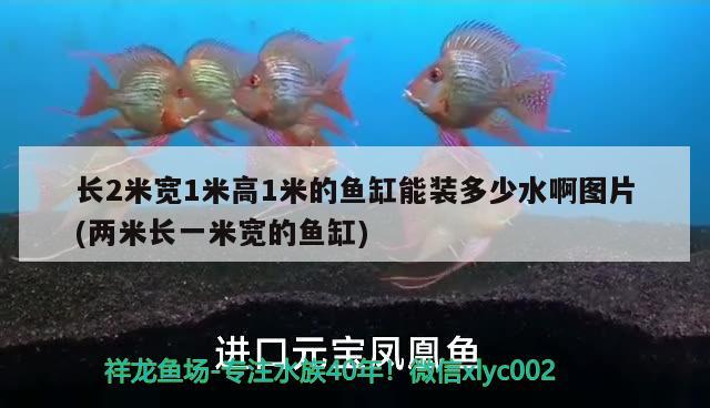 長2米寬1米高1米的魚缸能裝多少水啊圖片(兩米長一米寬的魚缸) 大白鯊魚 第1張