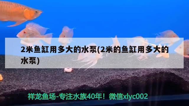 2米魚缸用多大的水泵(2米的魚缸用多大的水泵)