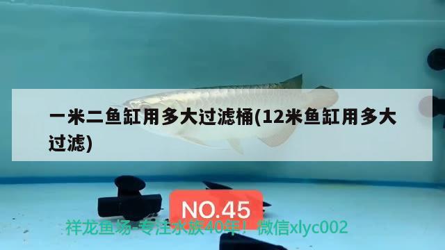 一米二魚缸用多大過濾桶(12米魚缸用多大過濾) 短身紅龍魚