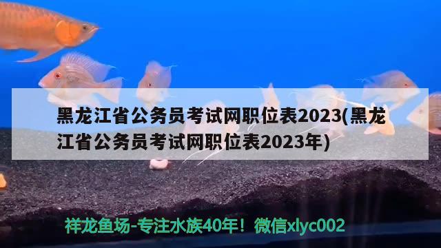 黑龍江省公務(wù)員考試網(wǎng)職位表2023(黑龍江省公務(wù)員考試網(wǎng)職位表2023年) 觀賞魚