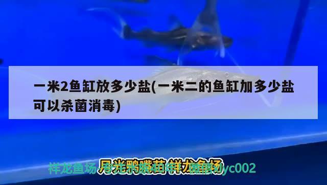 一米2魚缸放多少鹽(一米二的魚缸加多少鹽可以殺菌消毒) 水族品牌