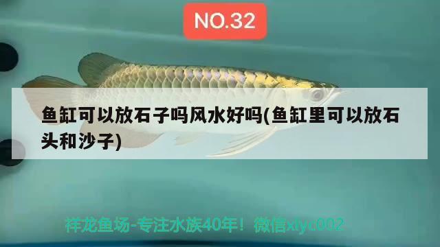 魚缸可以放石子嗎風(fēng)水好嗎(魚缸里可以放石頭和沙子) 魚缸風(fēng)水