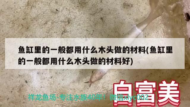 魚缸里的一般都用什么木頭做的材料(魚缸里的一般都用什么木頭做的材料好) 粗線銀版魚