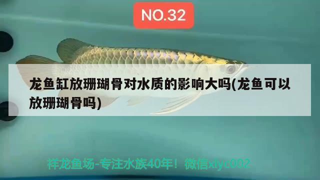 龍魚(yú)缸放珊瑚骨對(duì)水質(zhì)的影響大嗎(龍魚(yú)可以放珊瑚骨嗎)