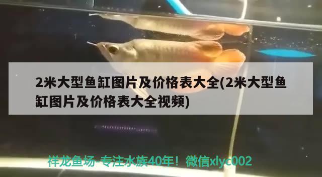 2米大型魚缸圖片及價(jià)格表大全(2米大型魚缸圖片及價(jià)格表大全視頻)