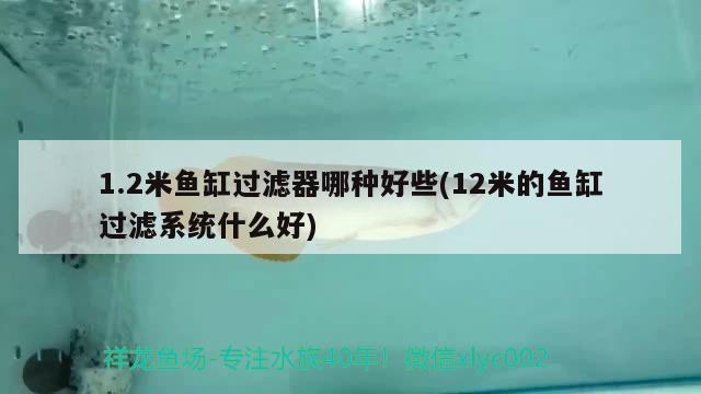 1.2米魚缸過(guò)濾器哪種好些(12米的魚缸過(guò)濾系統(tǒng)什么好) 充氧泵