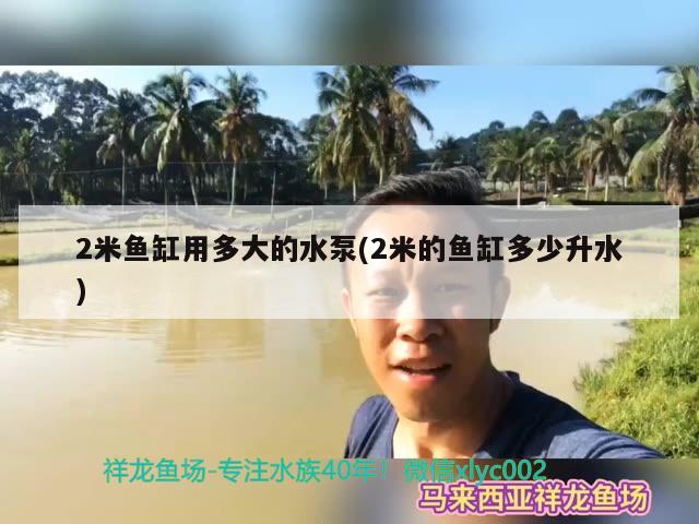 2米魚缸用多大的水泵(2米的魚缸多少升水) 祥龍龍魚專用水族燈