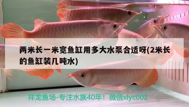 兩米長(zhǎng)一米寬魚(yú)缸用多大水泵合適呀(2米長(zhǎng)的魚(yú)缸裝幾噸水)