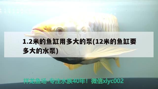 1.2米的魚缸用多大的泵(12米的魚缸要多大的水泵)