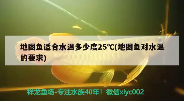 地圖魚適合水溫多少度25℃(地圖魚對(duì)水溫的要求) 觀賞魚