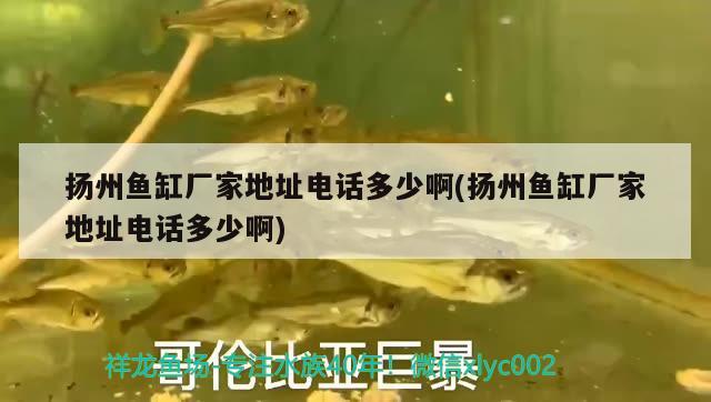 揚州魚缸廠家地址電話多少啊(揚州魚缸廠家地址電話多少啊) 魚缸凈水劑