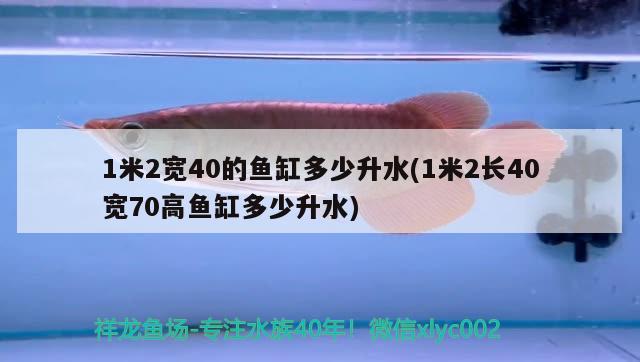 1米2寬40的魚缸多少升水(1米2長40寬70高魚缸多少升水) 觀賞魚進出口