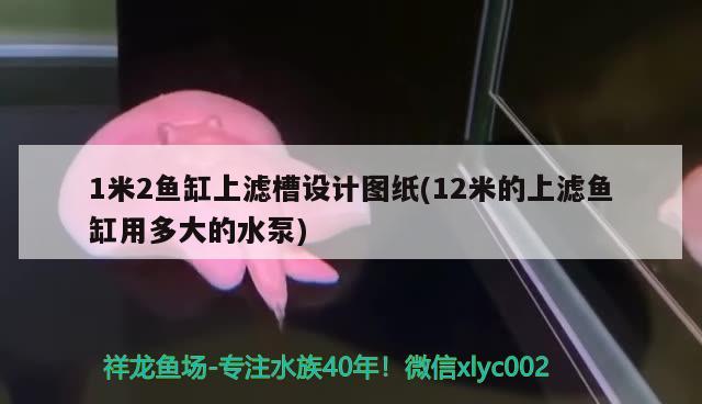 1米2魚缸上濾槽設(shè)計圖紙(12米的上濾魚缸用多大的水泵) 祥龍進口元寶鳳凰魚