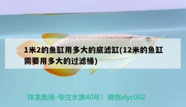 1米2的魚缸用多大的底濾缸(12米的魚缸需要用多大的過濾桶) 白化巴西龜（白巴）