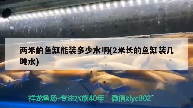 兩米的魚缸能裝多少水啊(2米長(zhǎng)的魚缸裝幾噸水) 廣州水族器材濾材批發(fā)市場(chǎng)