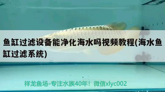 魚缸過濾設(shè)備能凈化海水嗎視頻教程(海水魚缸過濾系統(tǒng)) 海水魚