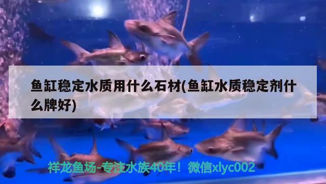 魚缸穩(wěn)定水質(zhì)用什么石材(魚缸水質(zhì)穩(wěn)定劑什么牌好) 錦鯉魚