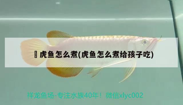 鰕虎魚怎么煮(虎魚怎么煮給孩子吃)