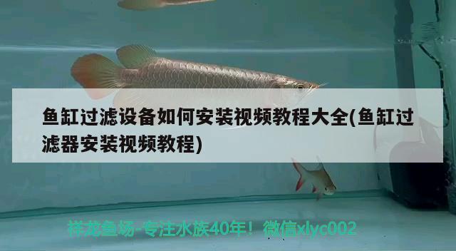 魚缸過濾設(shè)備如何安裝視頻教程大全(魚缸過濾器安裝視頻教程)