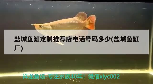 鹽城魚缸定制推薦店電話號碼多少(鹽城魚缸廠) 黑白雙星