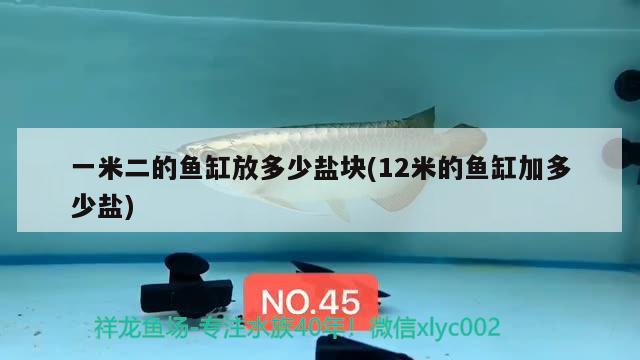 一米二的魚缸放多少鹽塊(12米的魚缸加多少鹽) 泰龐海鰱魚