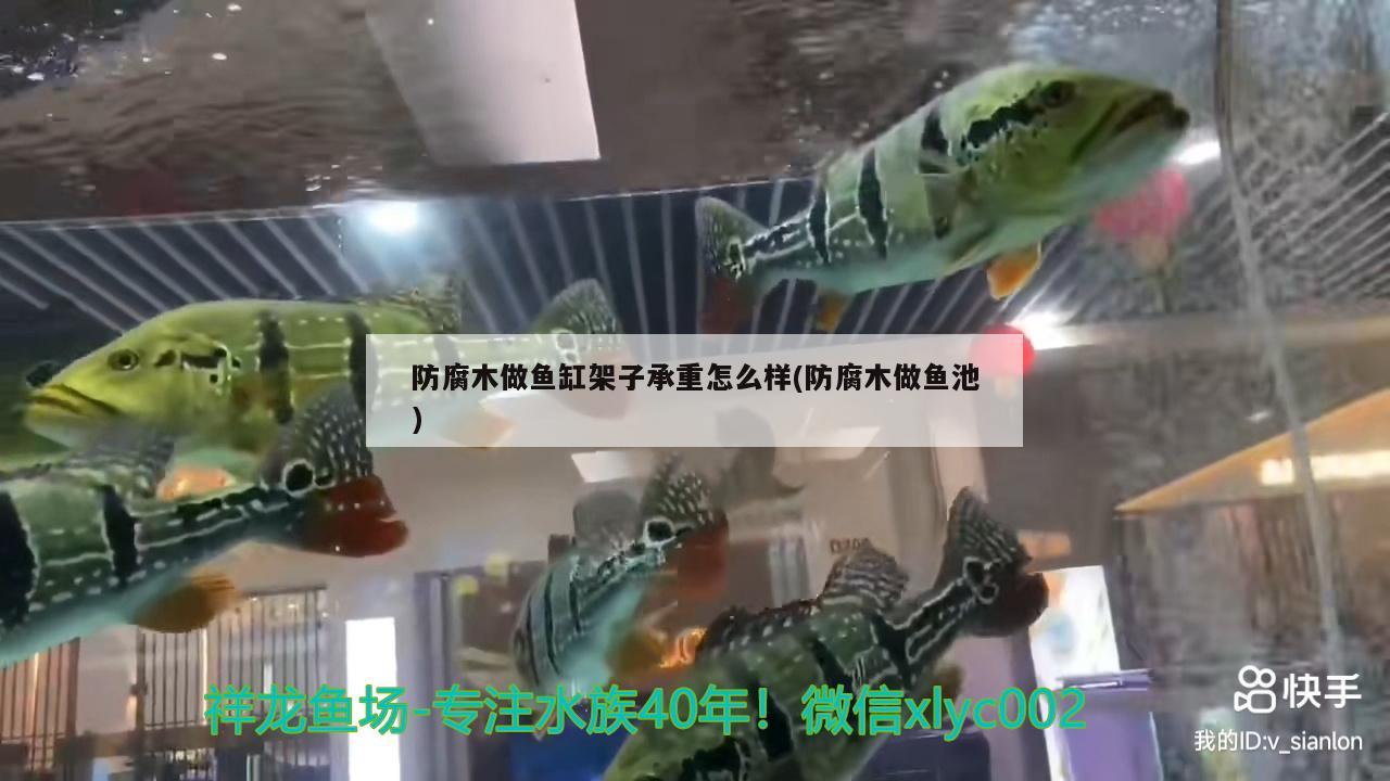 防腐木做魚缸架子承重怎么樣(防腐木做魚池) 觀賞魚市場