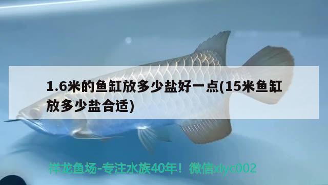 1.6米的魚缸放多少鹽好一點(15米魚缸放多少鹽合適)