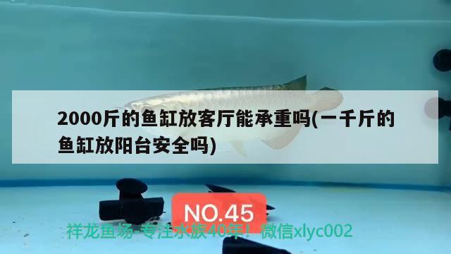 2000斤的魚缸放客廳能承重嗎(一千斤的魚缸放陽臺安全嗎) 熱帶魚魚苗批發(fā)