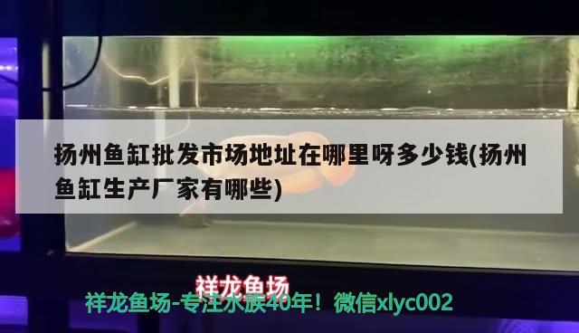 揚州魚缸批發(fā)市場地址在哪里呀多少錢(揚州魚缸生產(chǎn)廠家有哪些)