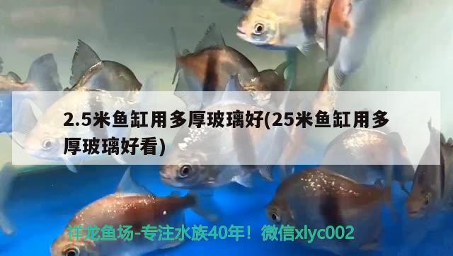 2.5米魚缸用多厚玻璃好(25米魚缸用多厚玻璃好看)