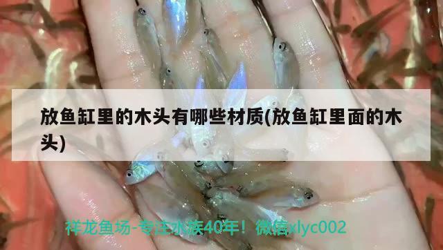 放魚缸里的木頭有哪些材質(zhì)(放魚缸里面的木頭) 斑馬鴨嘴魚苗