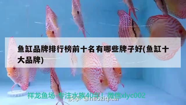 魚(yú)缸品牌排行榜前十名有哪些牌子好(魚(yú)缸十大品牌)