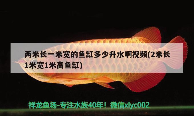 兩米長一米寬的魚缸多少升水啊視頻(2米長1米寬1米高魚缸) 丹頂錦鯉魚