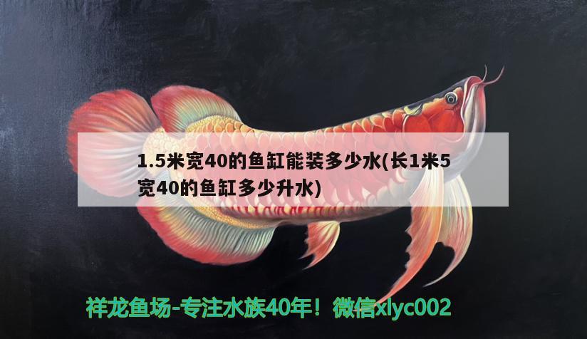 1.5米寬40的魚缸能裝多少水(長1米5寬40的魚缸多少升水) 祥龍進口元寶鳳凰魚