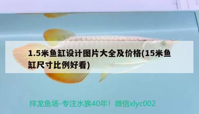 1.5米魚缸設(shè)計(jì)圖片大全及價(jià)格(15米魚缸尺寸比例好看) 巴西亞魚苗