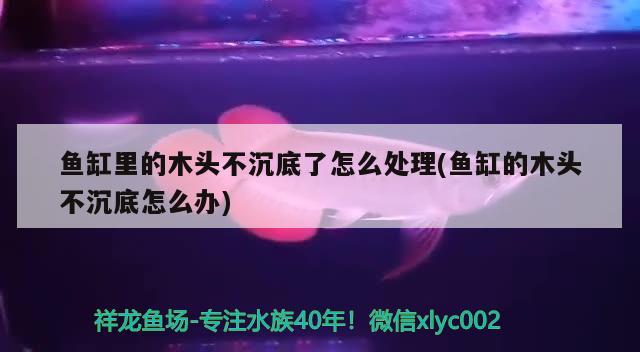 魚(yú)缸里的木頭不沉底了怎么處理(魚(yú)缸的木頭不沉底怎么辦) iwish愛(ài)唯希品牌魚(yú)缸