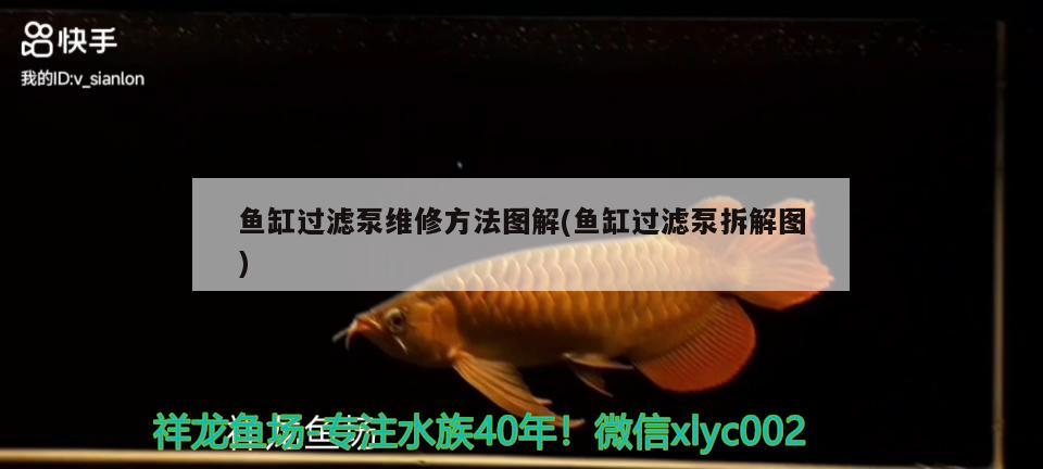 魚缸過濾泵維修方法圖解(魚缸過濾泵拆解圖) 飛鳳魚苗