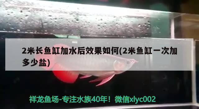 2米長魚缸加水后效果如何(2米魚缸一次加多少鹽)