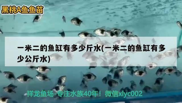 一米二的魚缸有多少斤水(一米二的魚缸有多少公斤水)