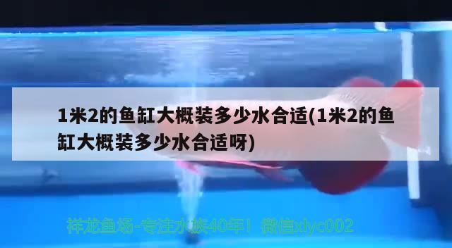 1米2的魚缸大概裝多少水合適(1米2的魚缸大概裝多少水合適呀) 馬拉莫寶石魚苗