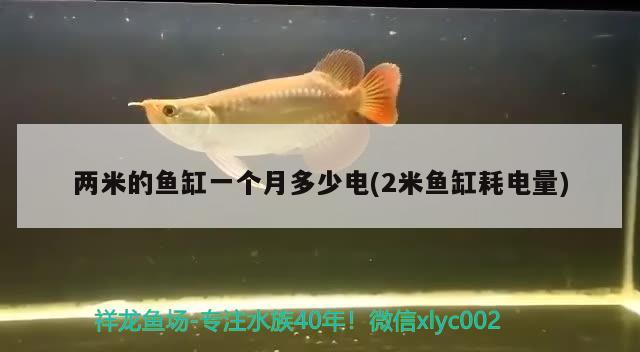 兩米的魚缸一個(gè)月多少電(2米魚缸耗電量) 紅頭利魚