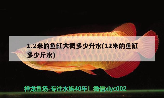 1.2米的魚缸大概多少升水(12米的魚缸多少斤水) 祥龍魚場品牌產品