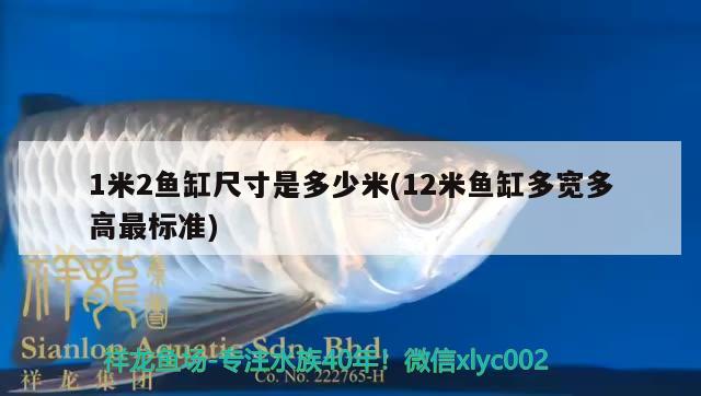 1米2魚缸尺寸是多少米(12米魚缸多寬多高最標準) 祥禾Super Red紅龍魚 第3張