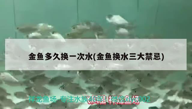 金魚多久換一次水(金魚換水三大禁忌)