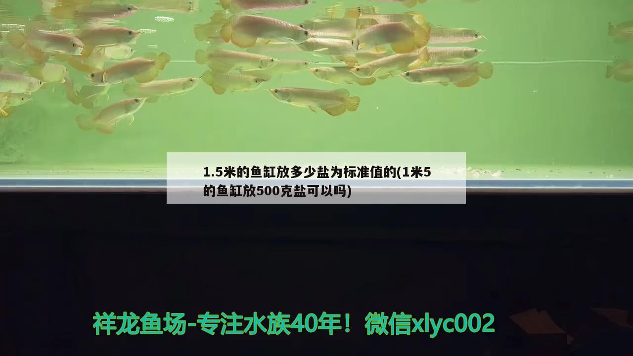 1.5米的魚缸放多少鹽為標(biāo)準(zhǔn)值的(1米5的魚缸放500克鹽可以嗎) 皇冠黑白魟魚